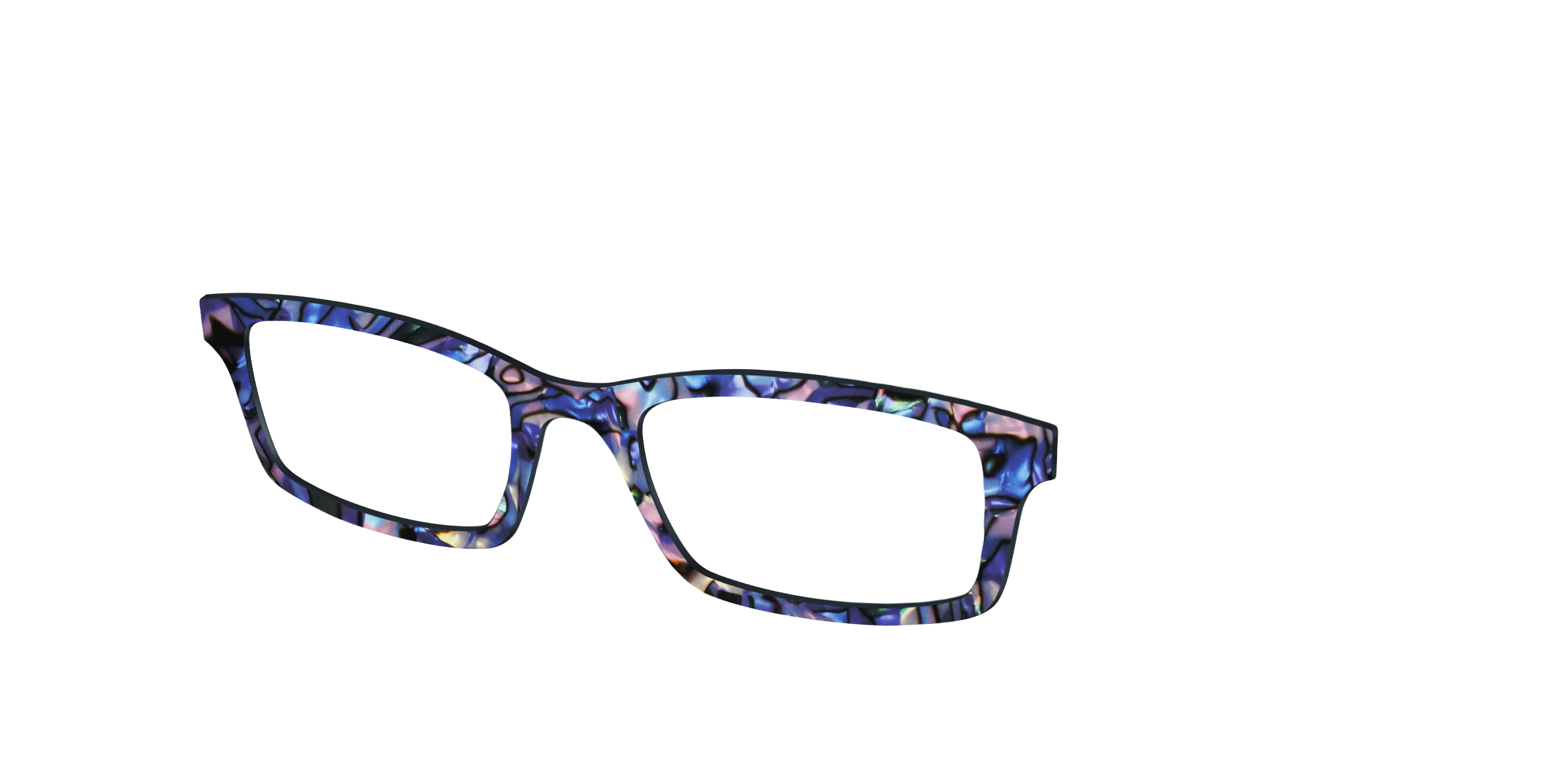 The Lagoon Pearl Tortoise - Image 2