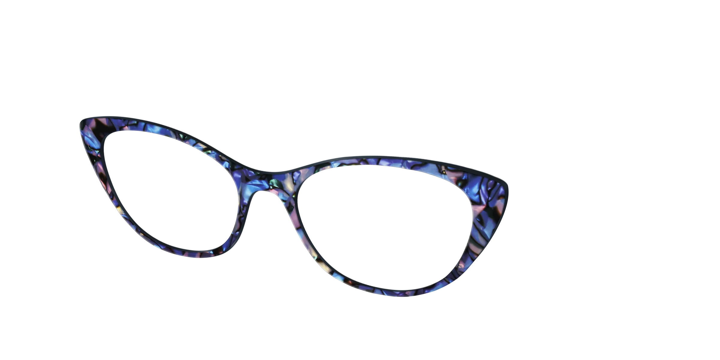 The Lagoon Pearl Tortoise - Image 24