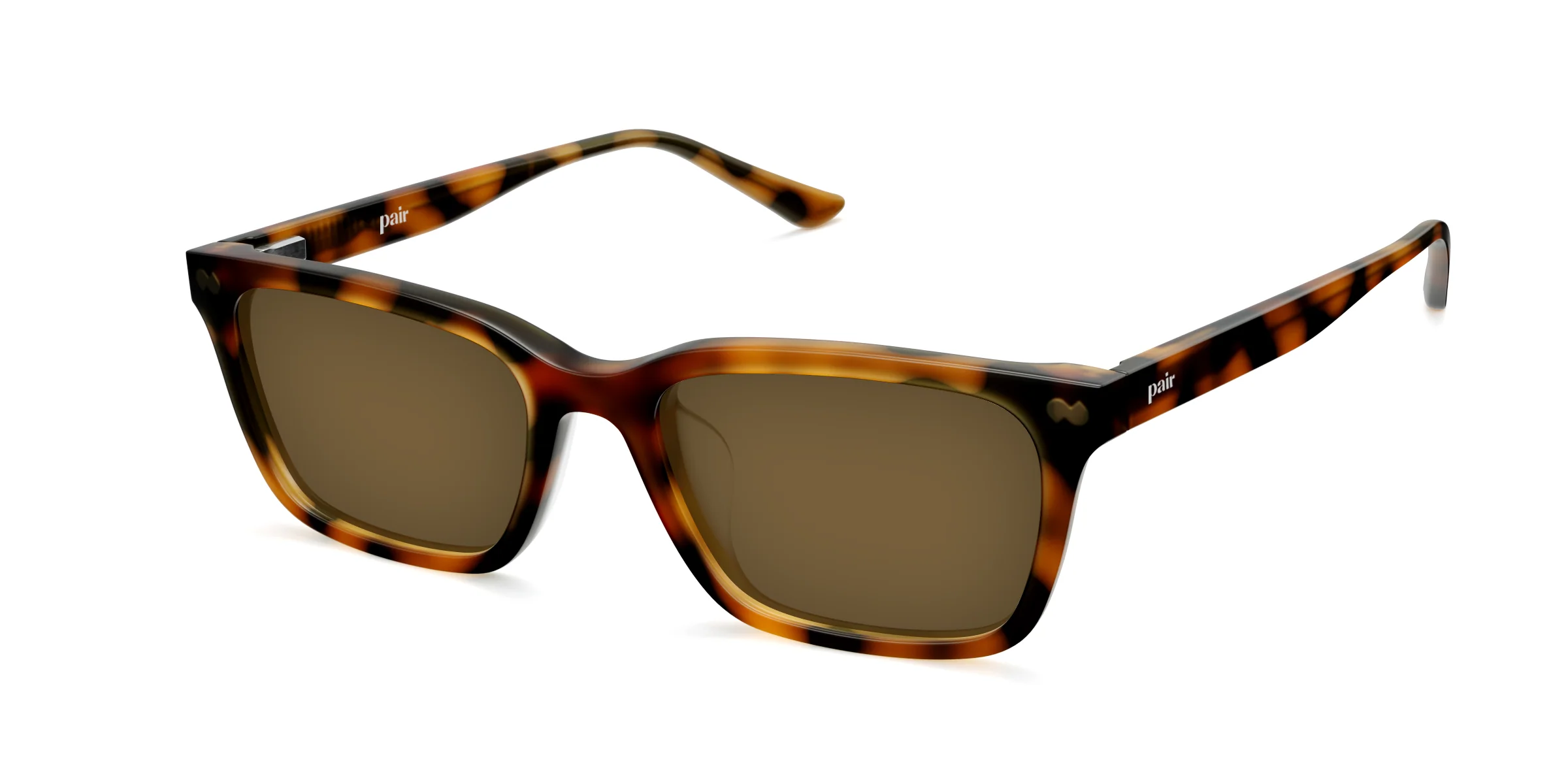 The Larkin - Tortoise Sun - Image 4