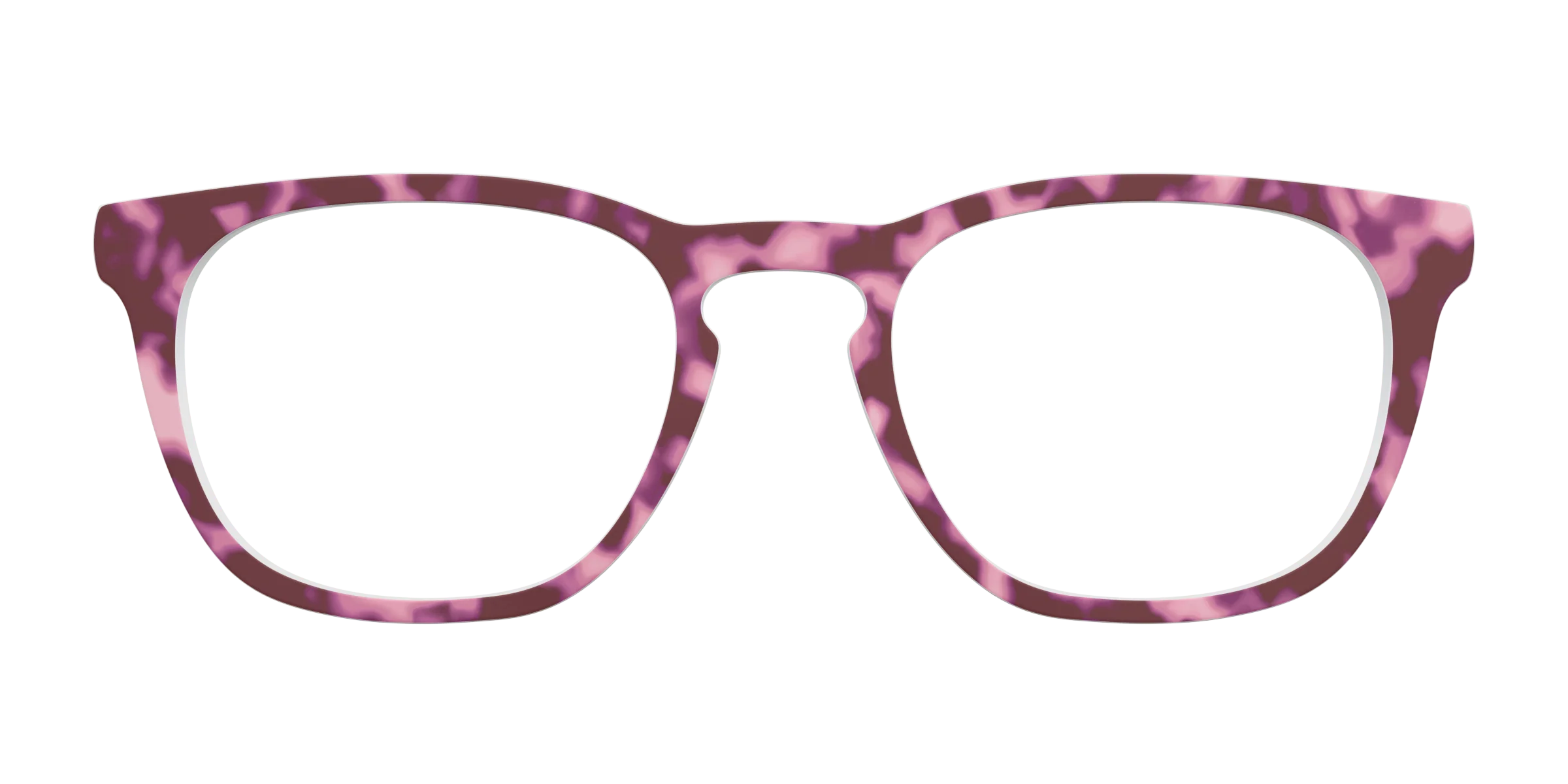 The Maroon Tortoise - Image 4