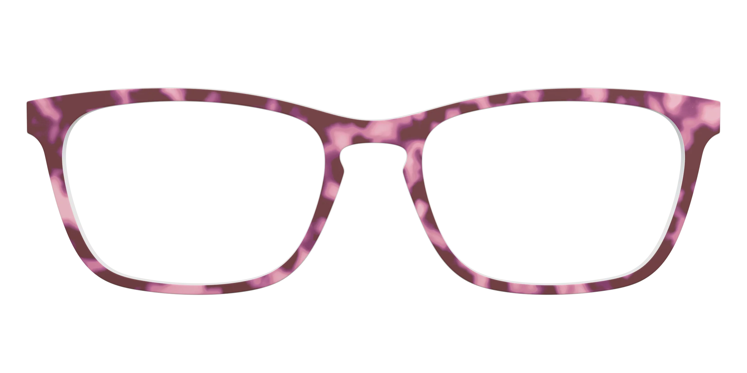 The Maroon Tortoise - Image 7