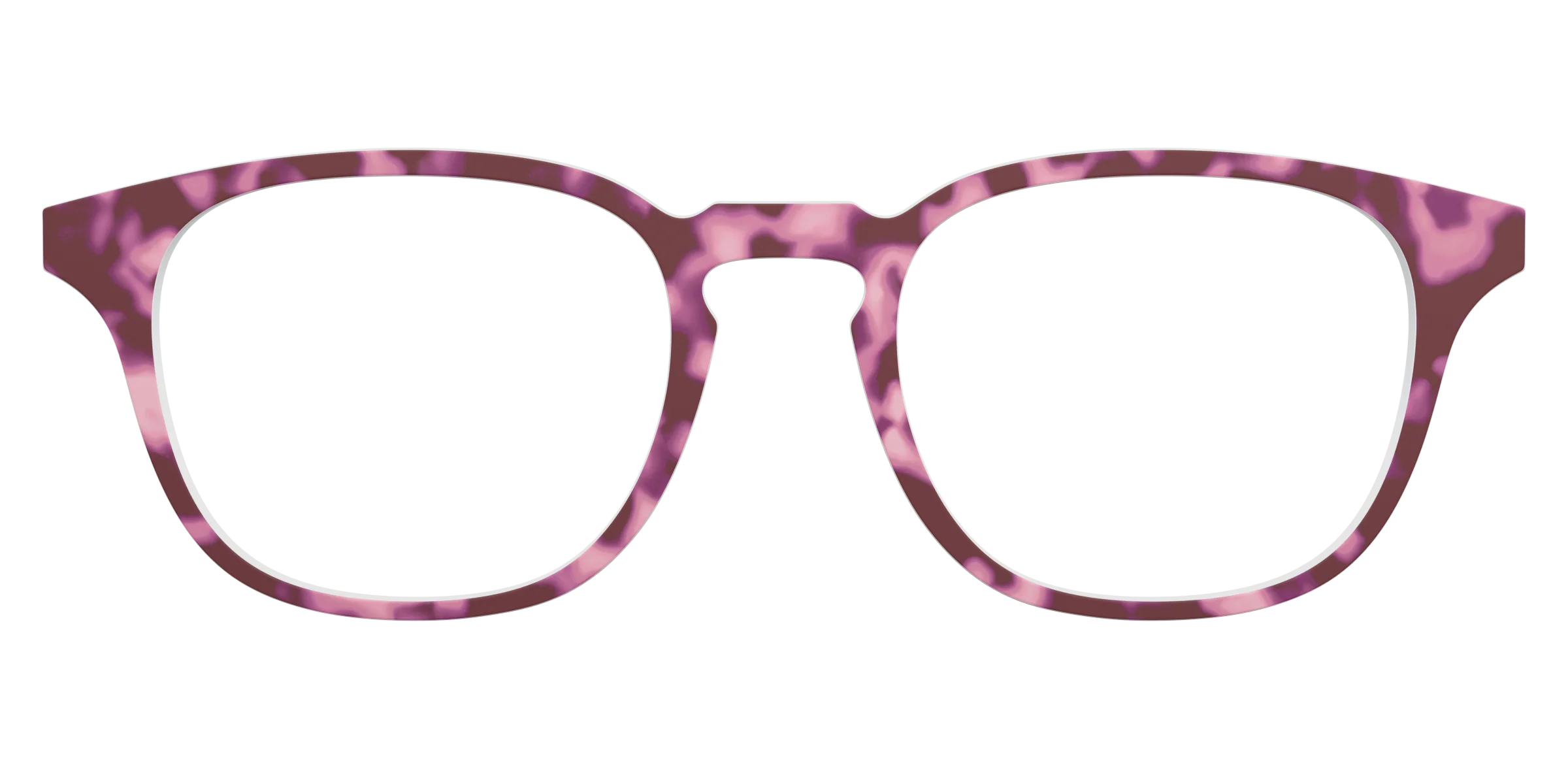 The Maroon Tortoise - Image 9