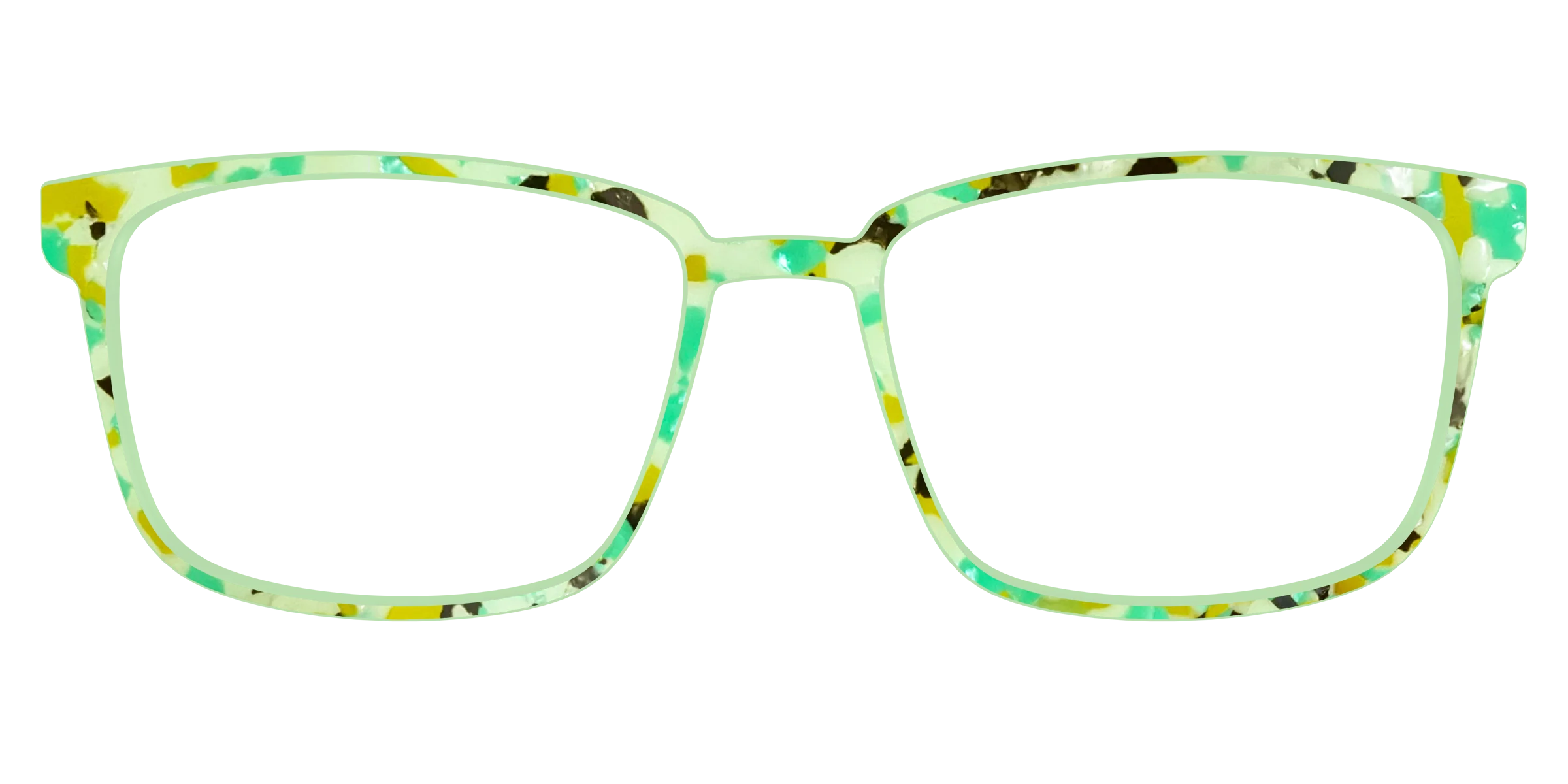 The Matcha Pearl Tortoise - Image 49