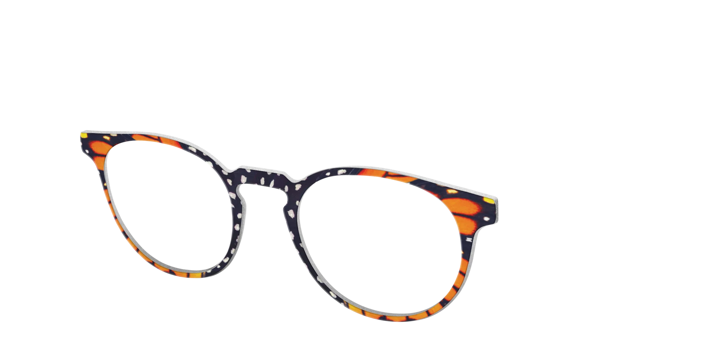 The Monarch Butterfly - Image 20