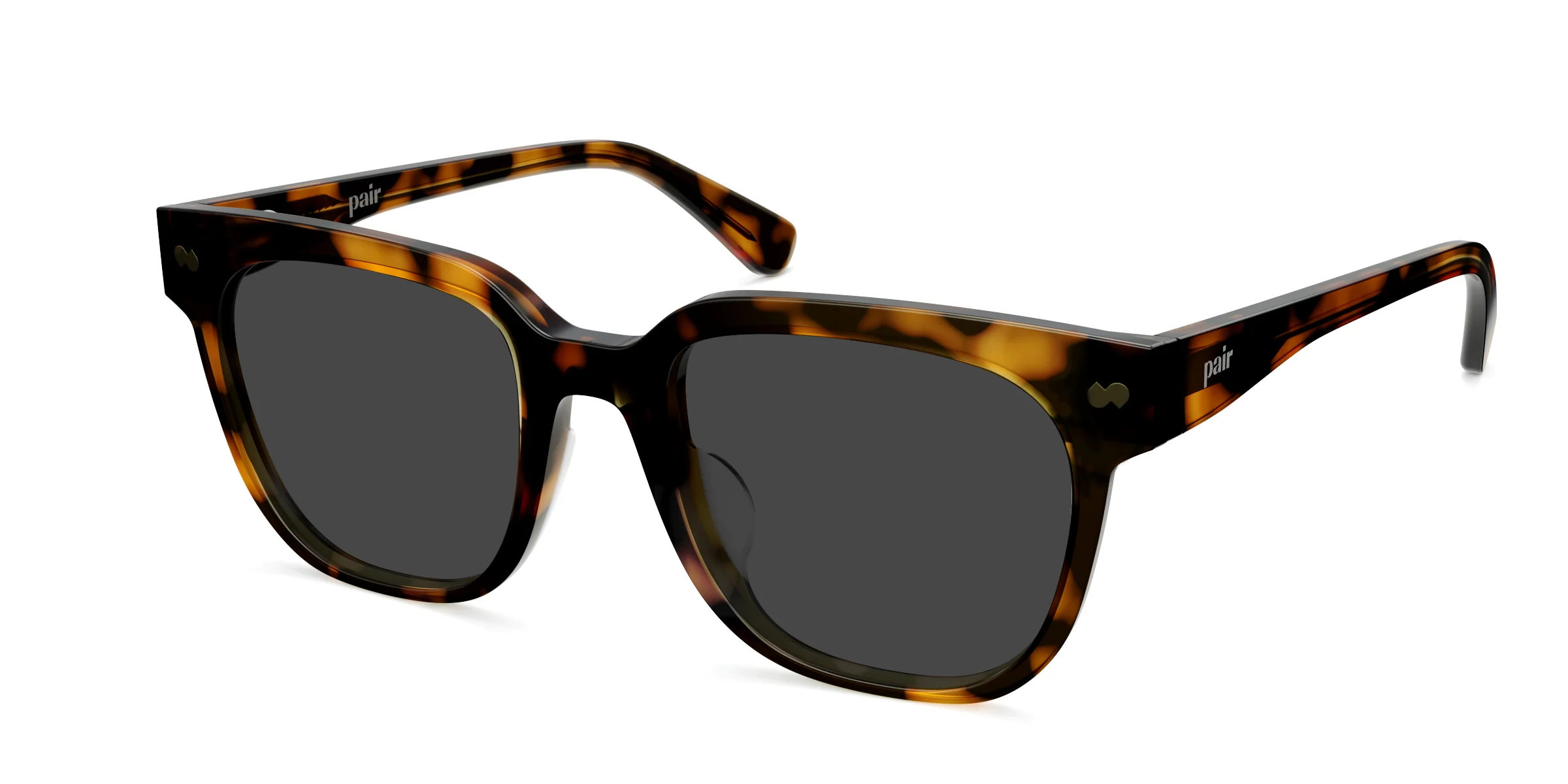 The Murphy - Tortoise Sun - Image 3