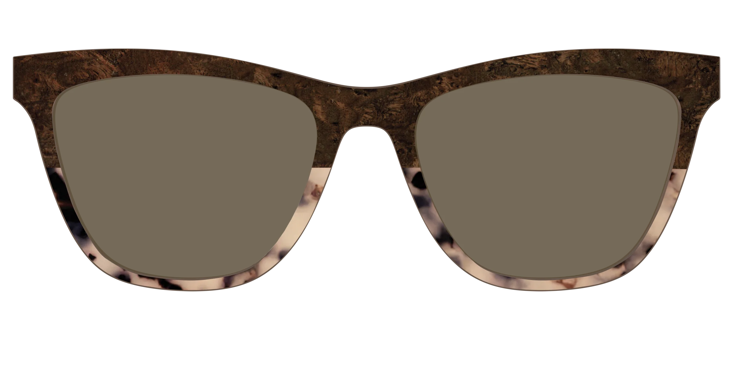 The Polarized Dark Oak Tortoise Split Sun Top - Image 29