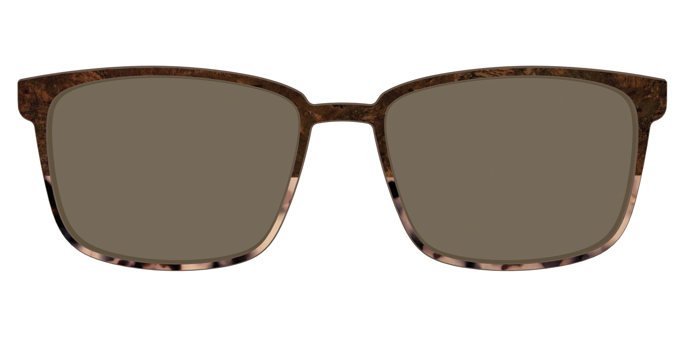 The Polarized Dark Oak Tortoise Split Sun Top - Image 49