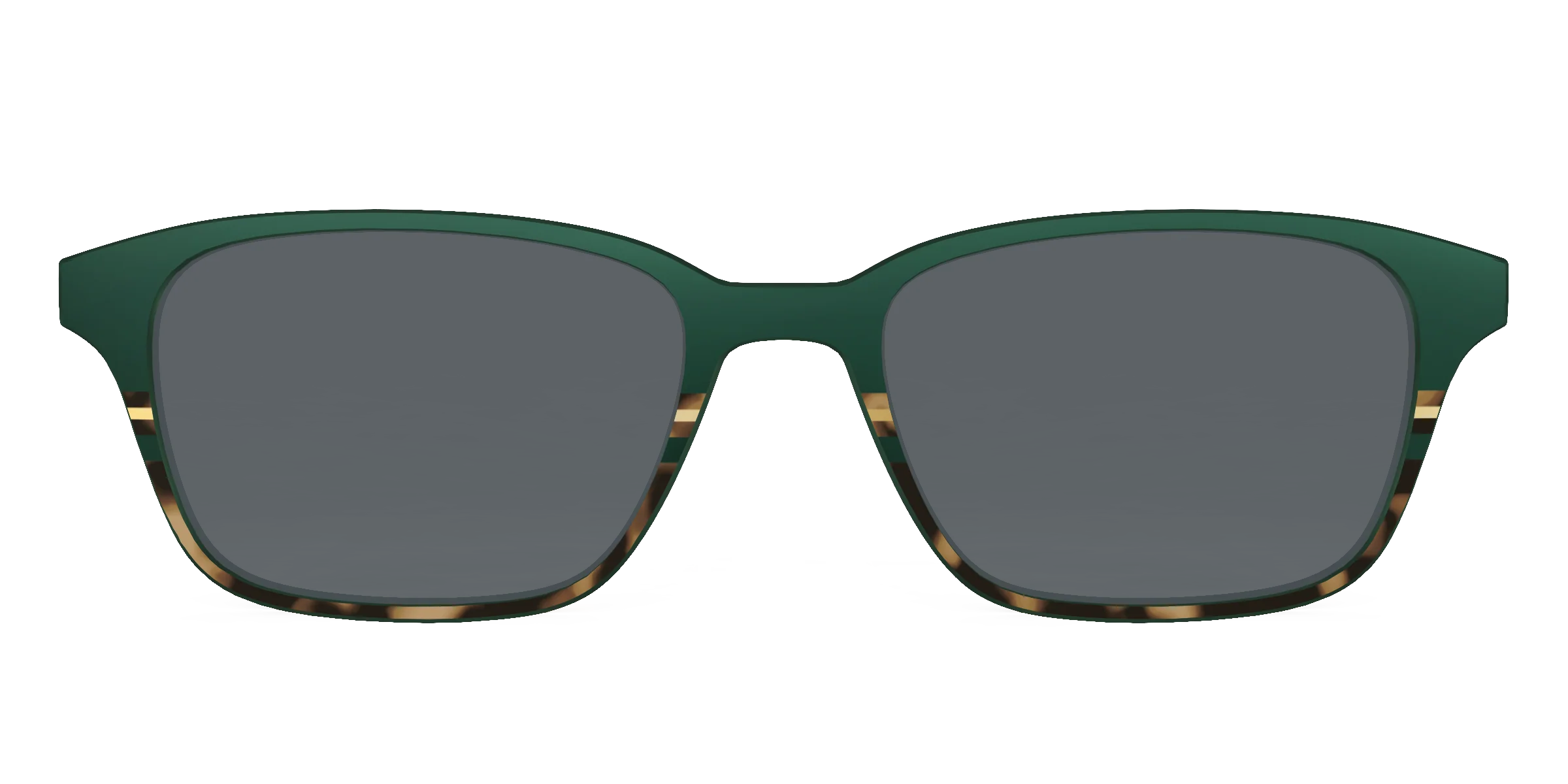 The Polarized Spruce Tortoise Sun Top - Image 55