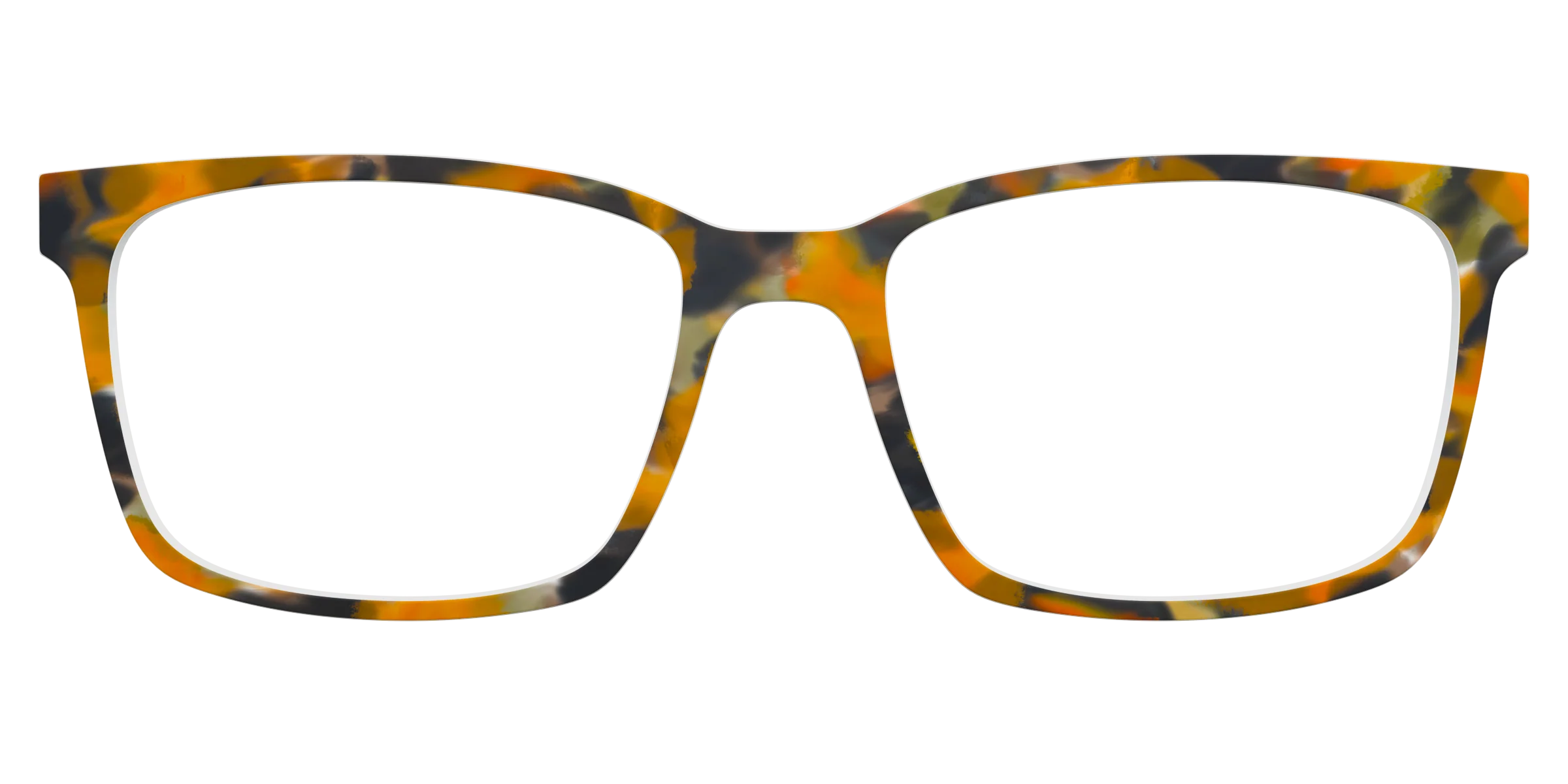 The Pumpkin Tortoise - Image 11