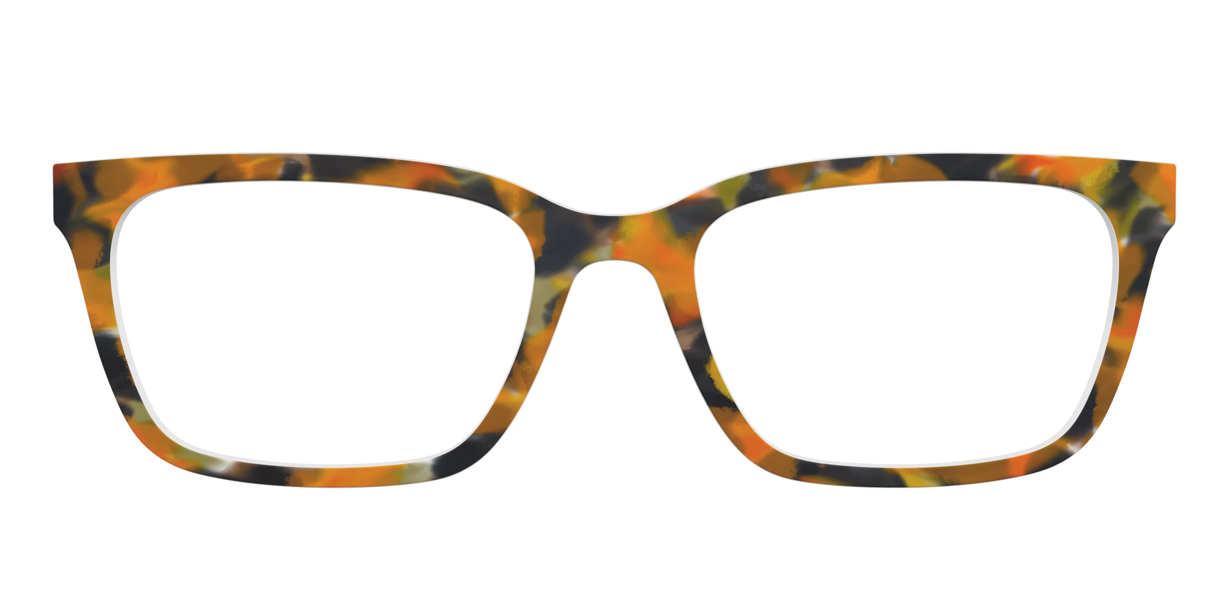 The Pumpkin Tortoise - Image 9