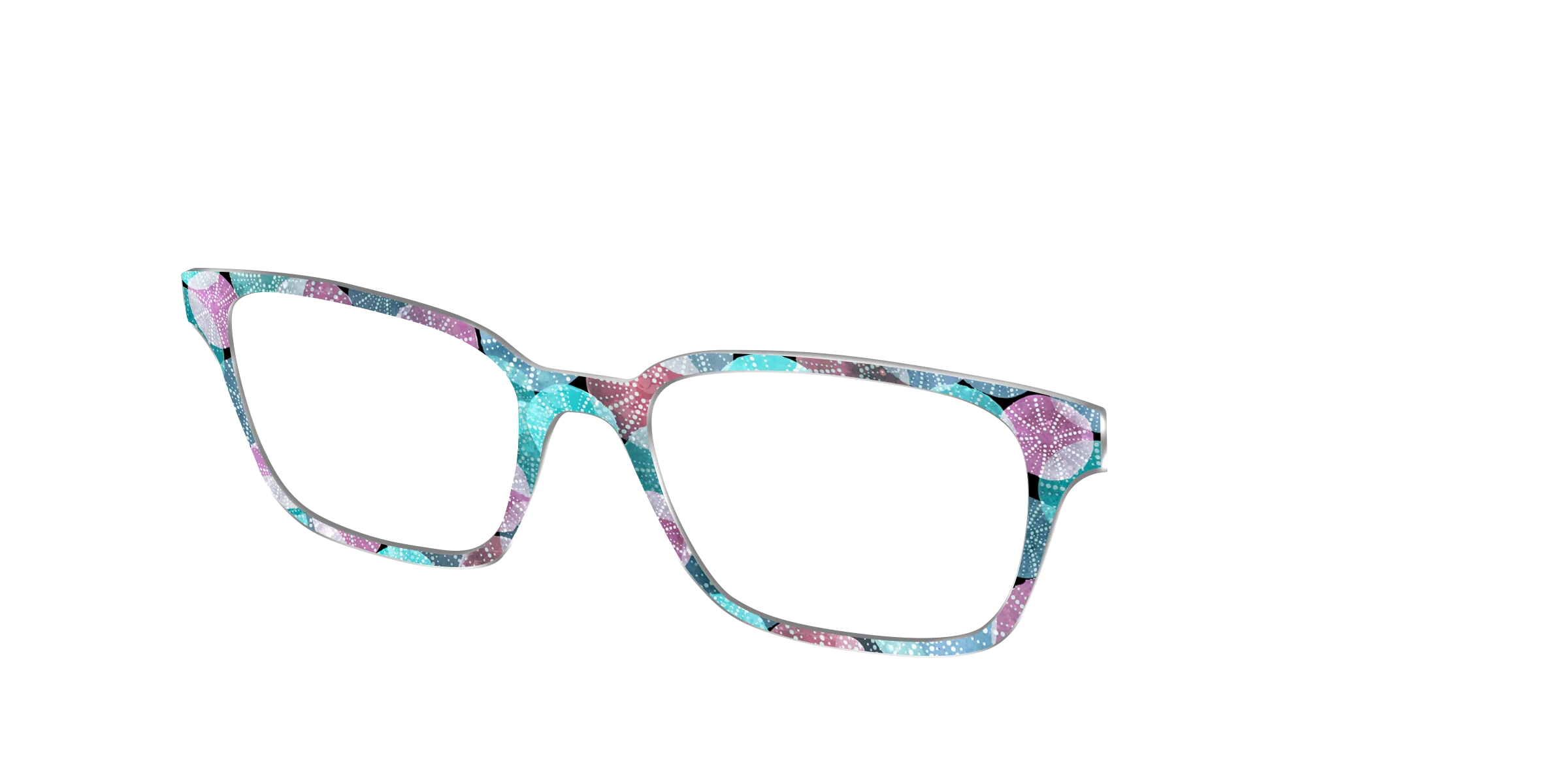 The Sea Urchin Shells - Image 22
