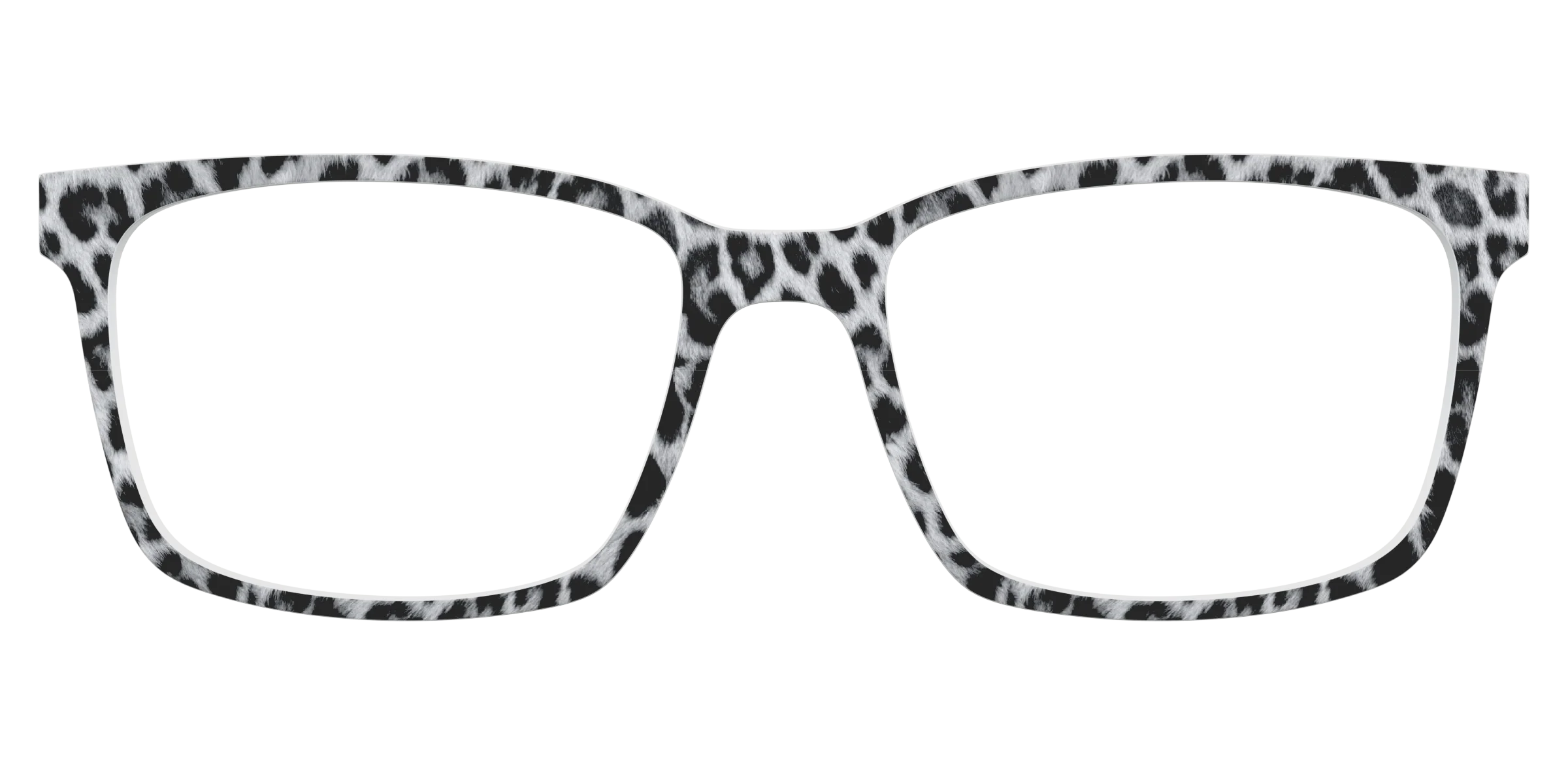 The Snow Leopard Spots - Image 11