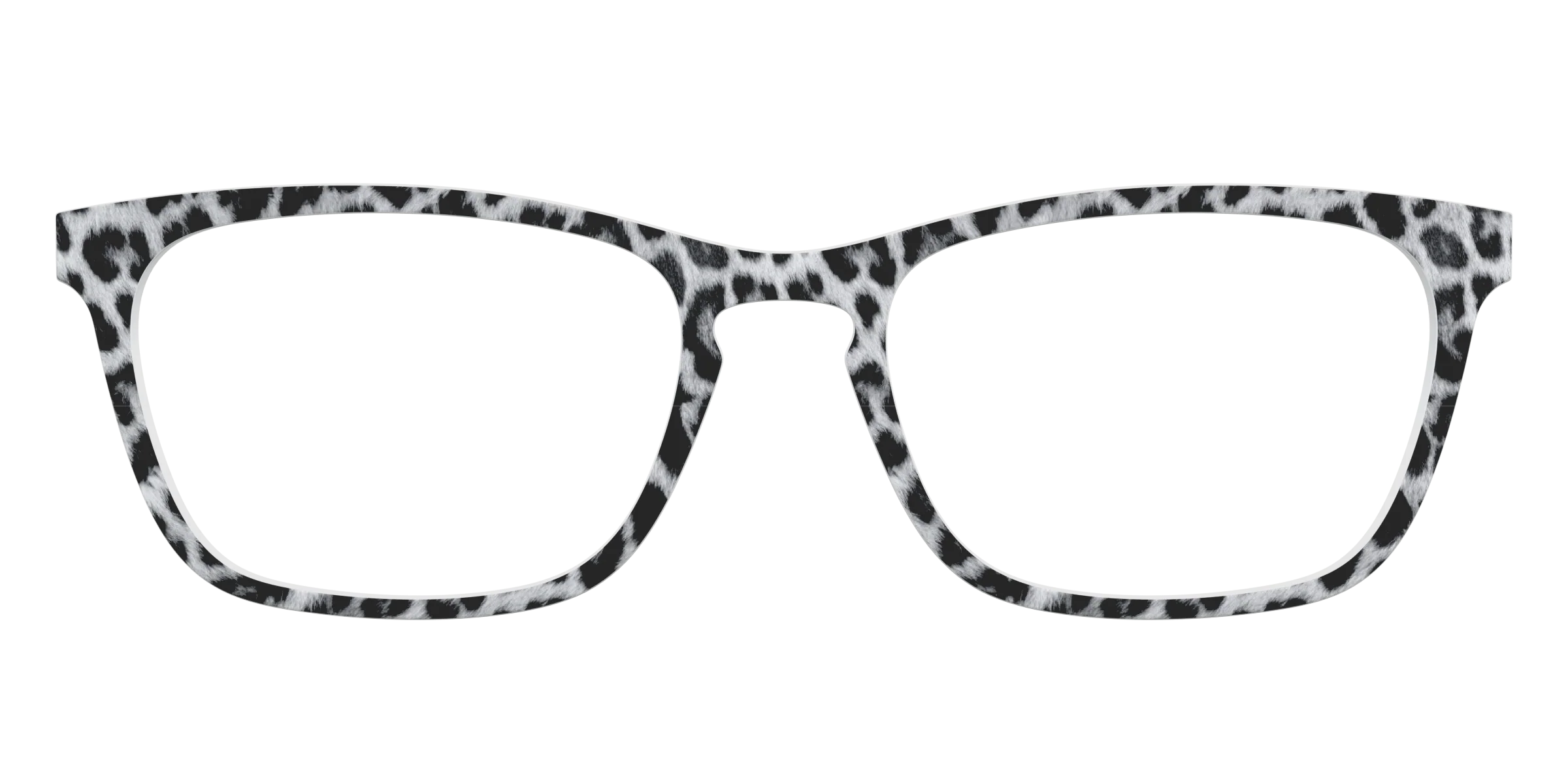The Snow Leopard Spots - Image 13