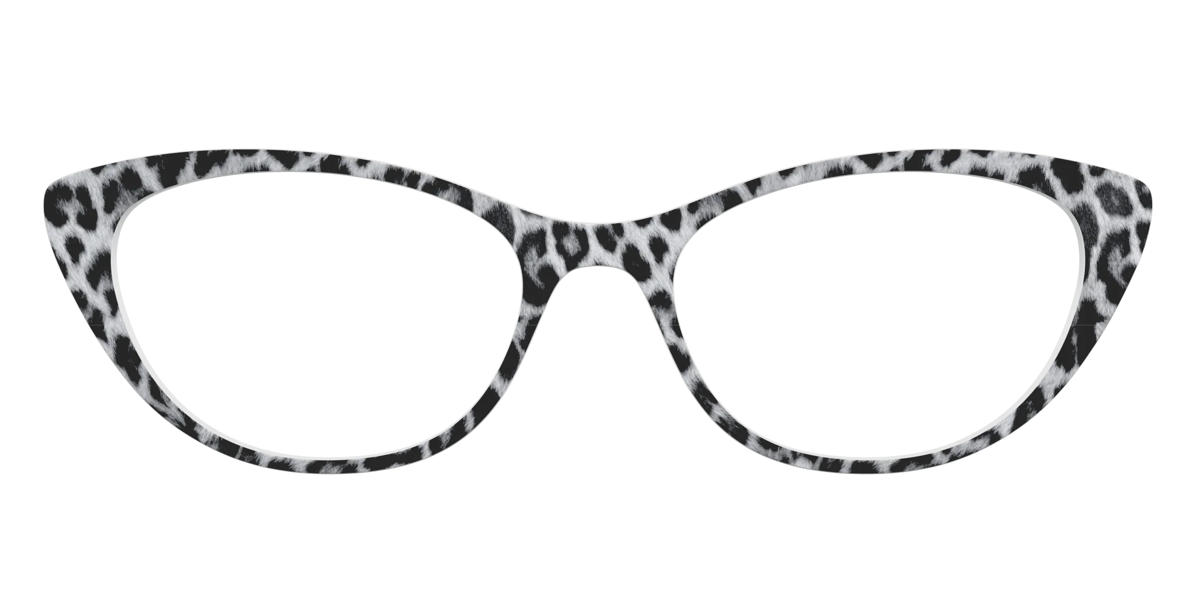 The Snow Leopard Spots - Image 23