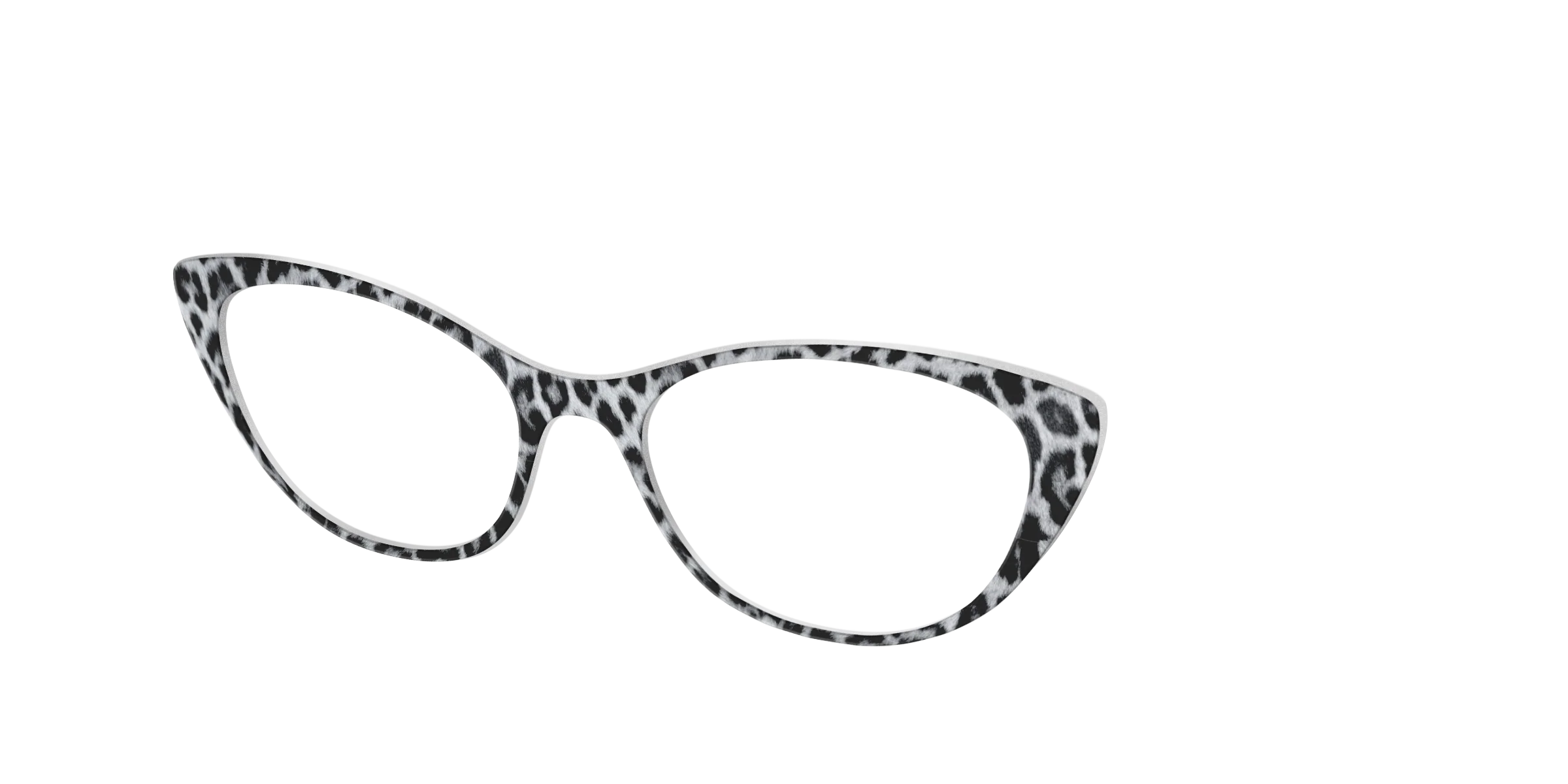 The Snow Leopard Spots - Image 24