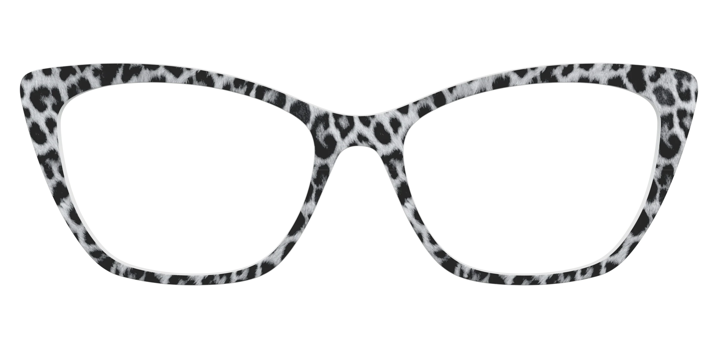 The Snow Leopard Spots - Image 25