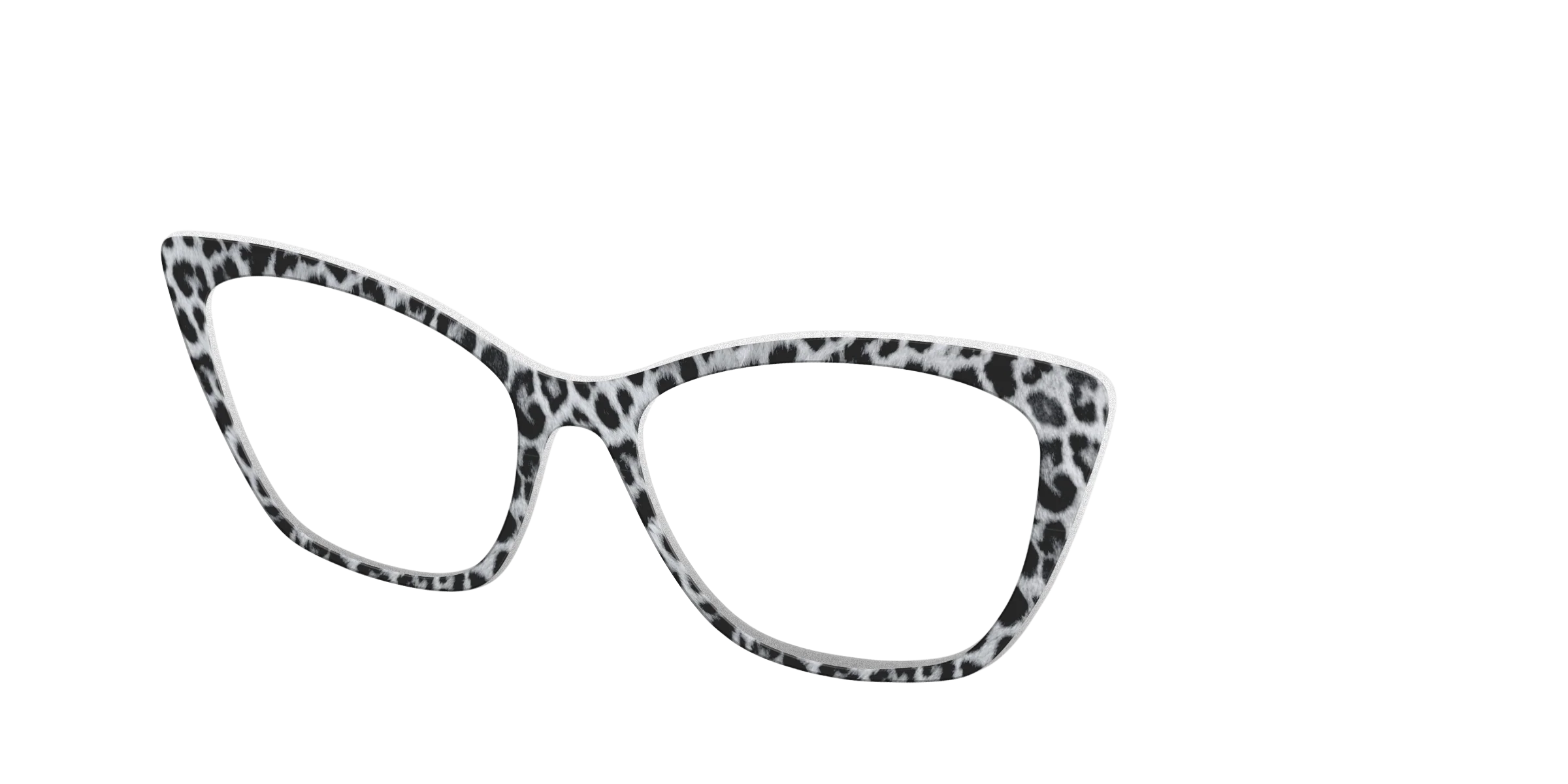 The Snow Leopard Spots - Image 26