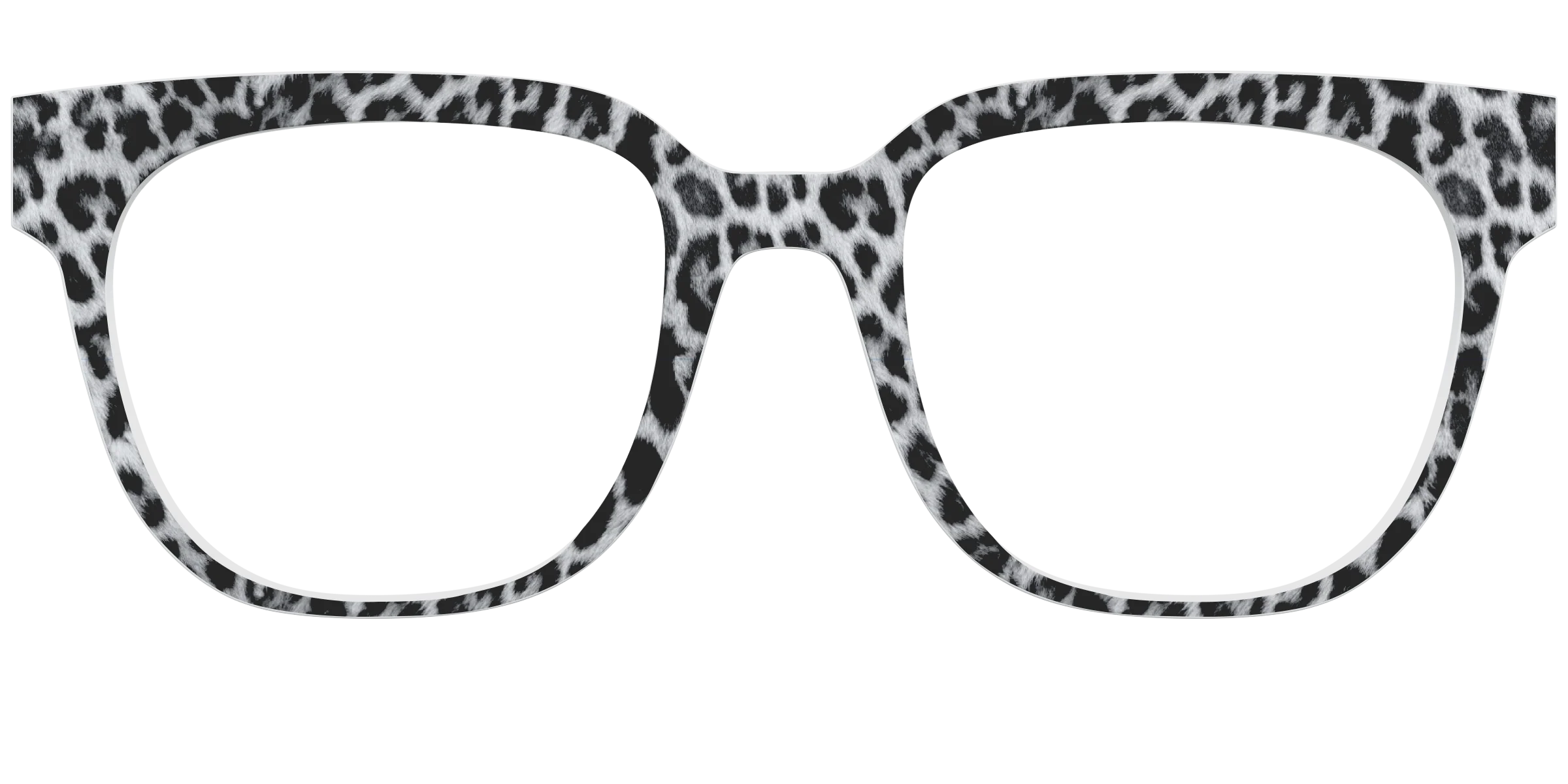 The Snow Leopard Spots - Image 31