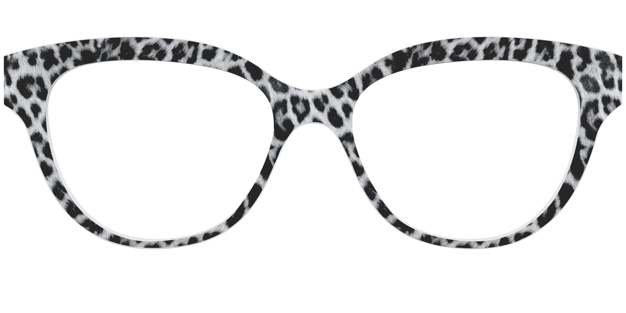 The Snow Leopard Spots - Image 33