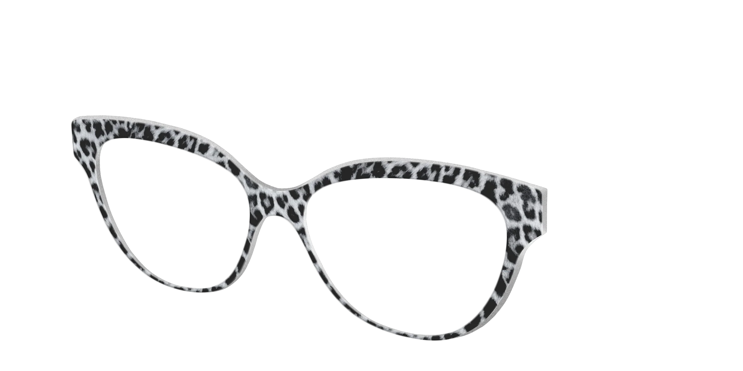 The Snow Leopard Spots - Image 34