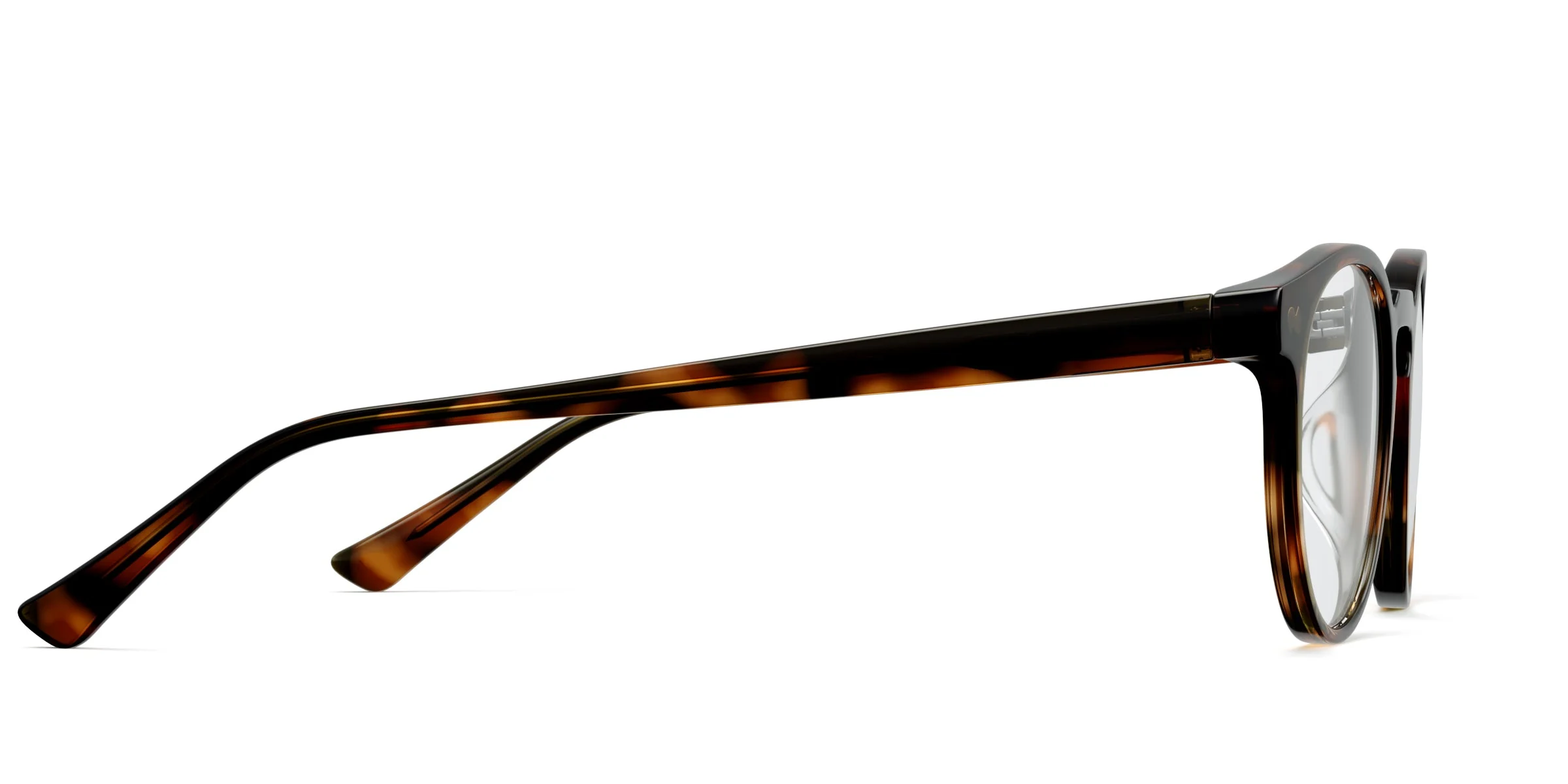 The Soto - Tortoise - Image 3