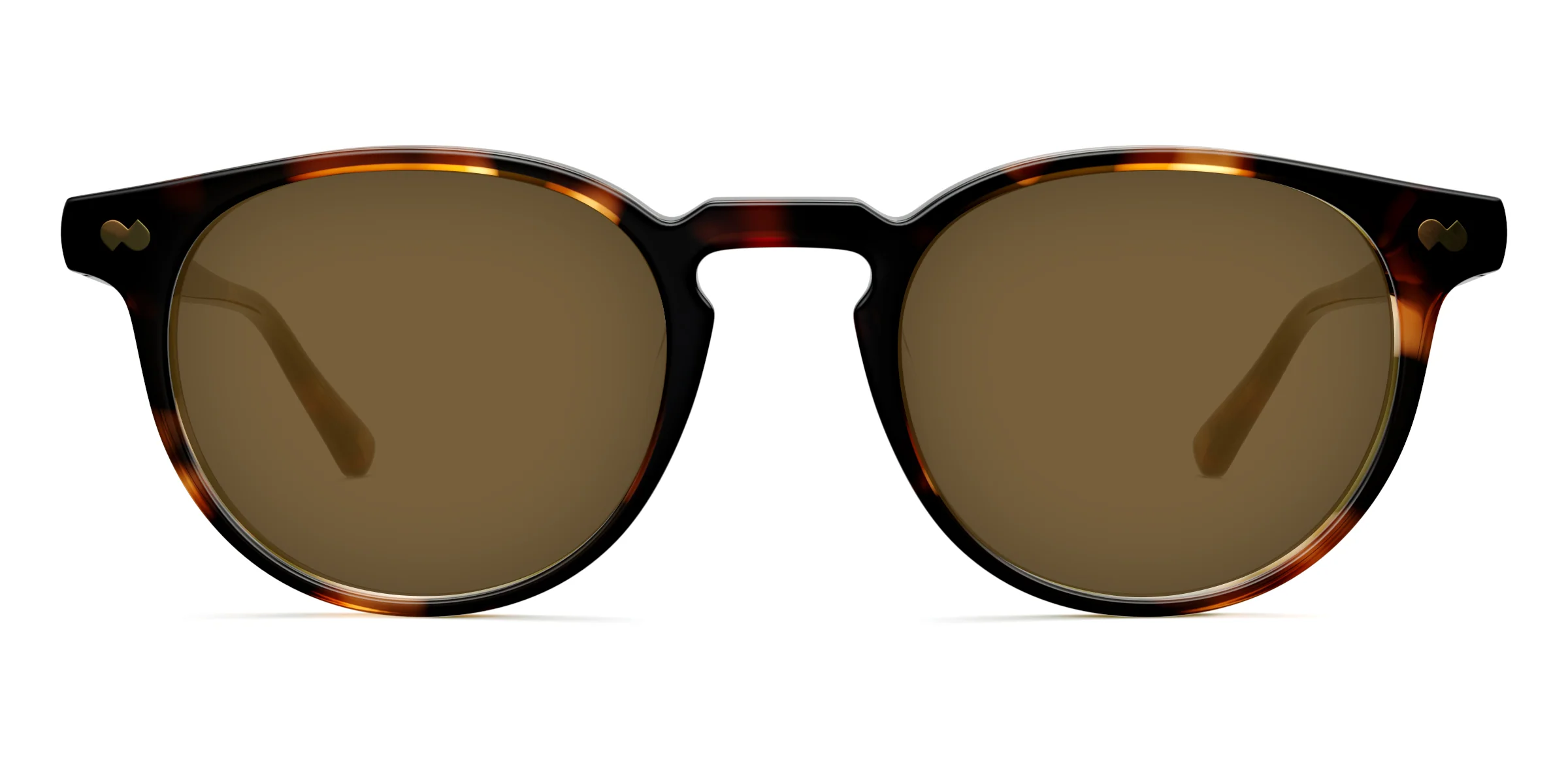 The Soto - Tortoise - Image 5