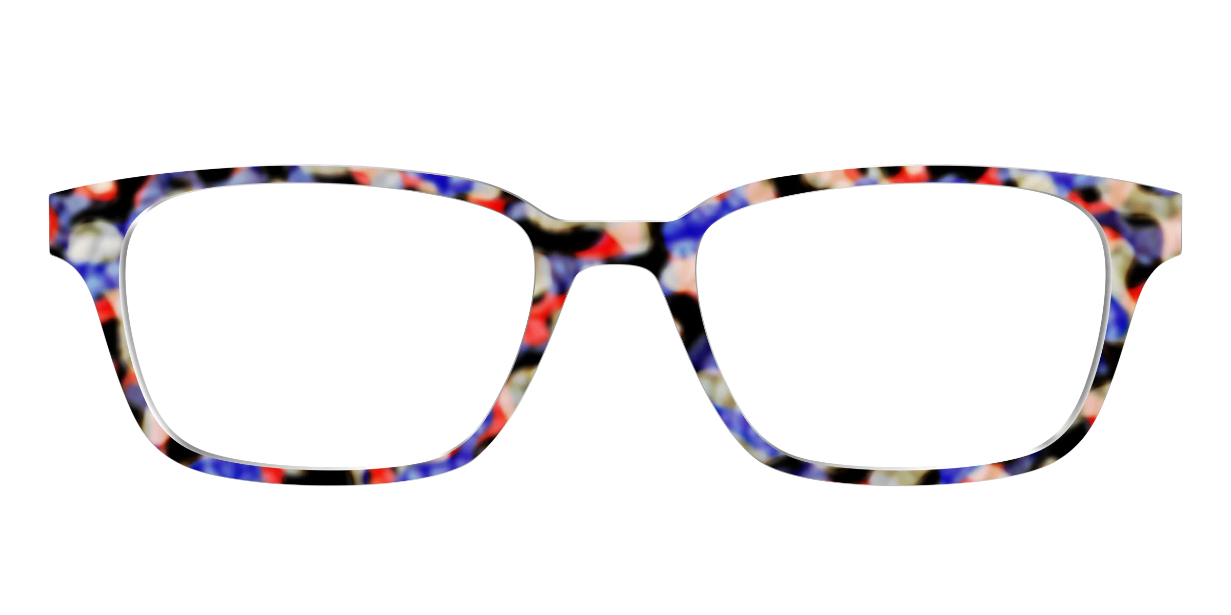 The Tempo Tortoise - Image 21