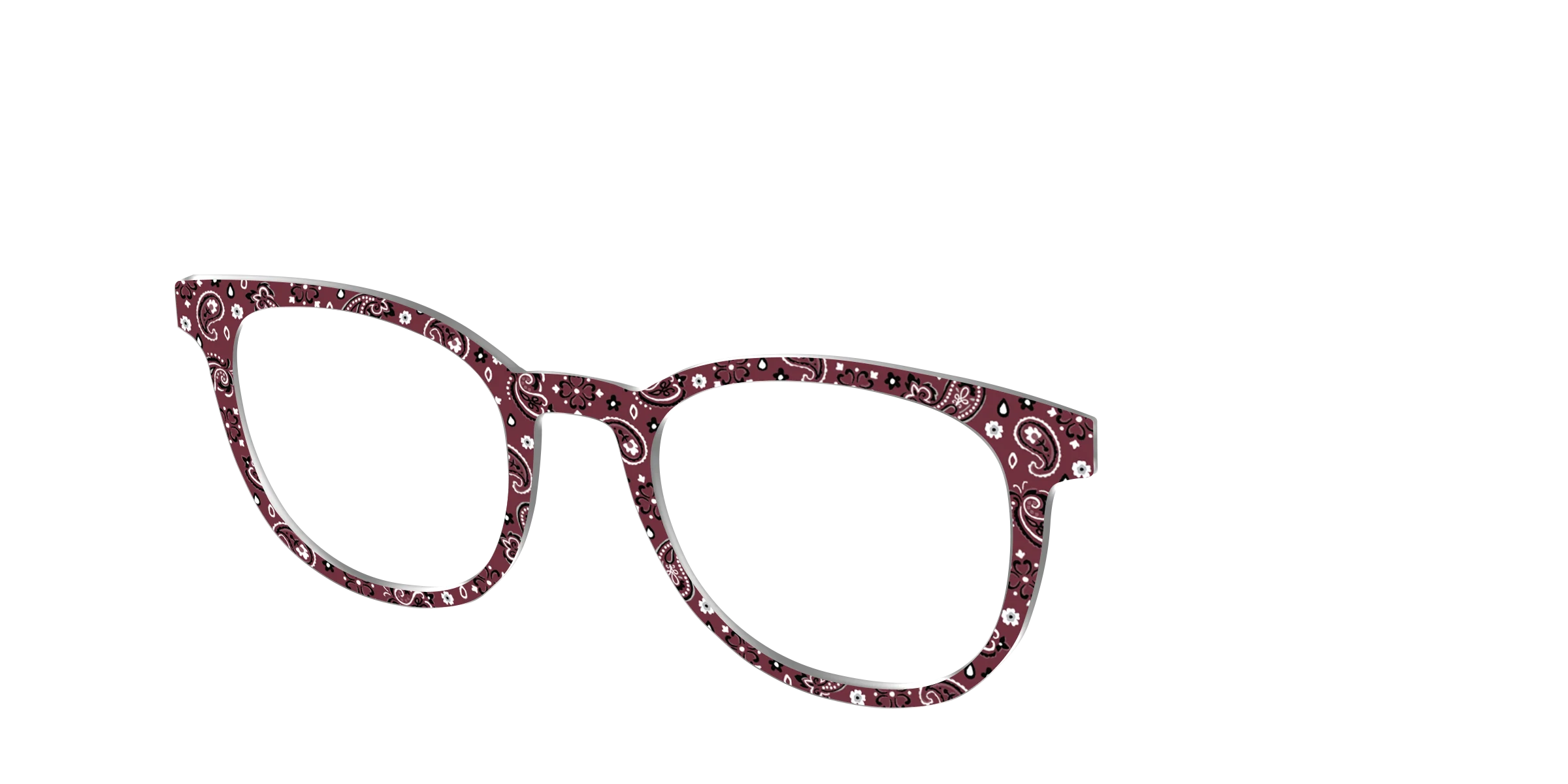 The Western Paisley - Image 16