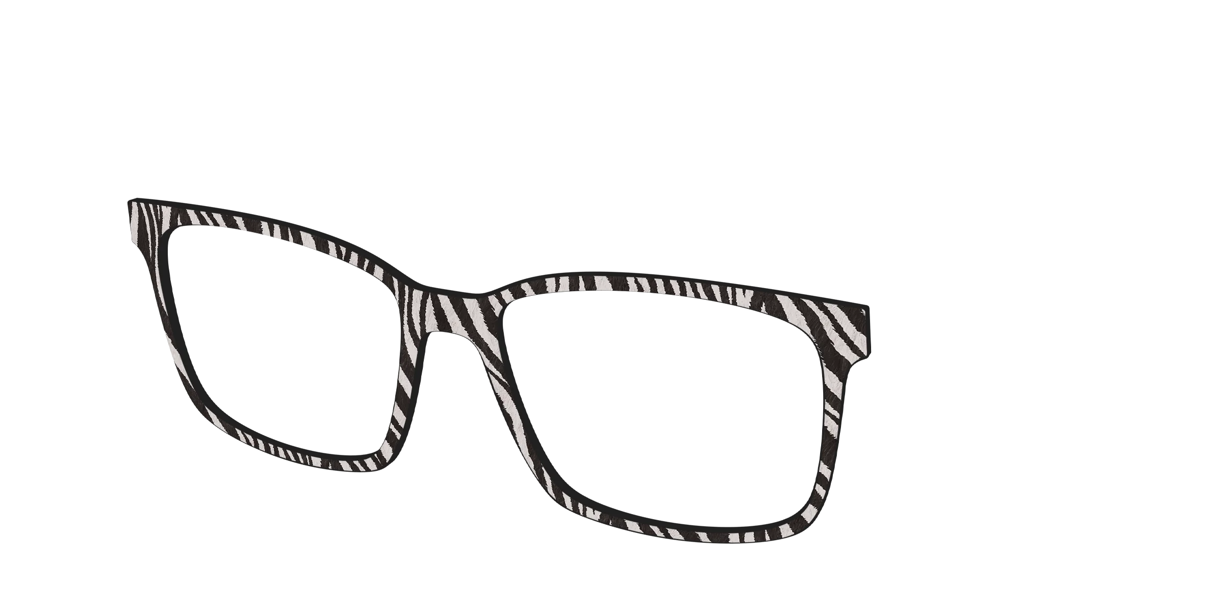 The Zebra Stripes - Image 12