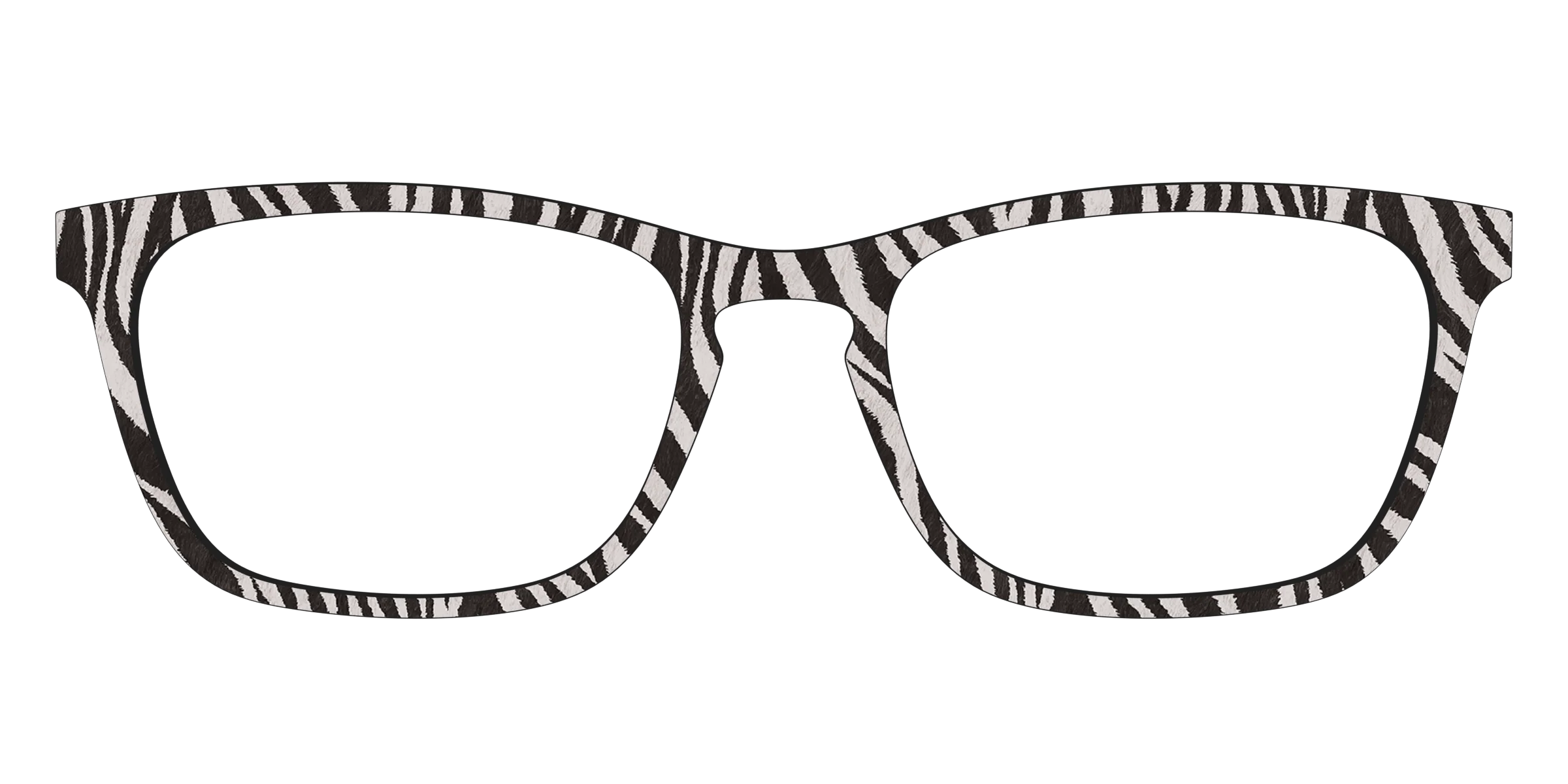 The Zebra Stripes - Image 13