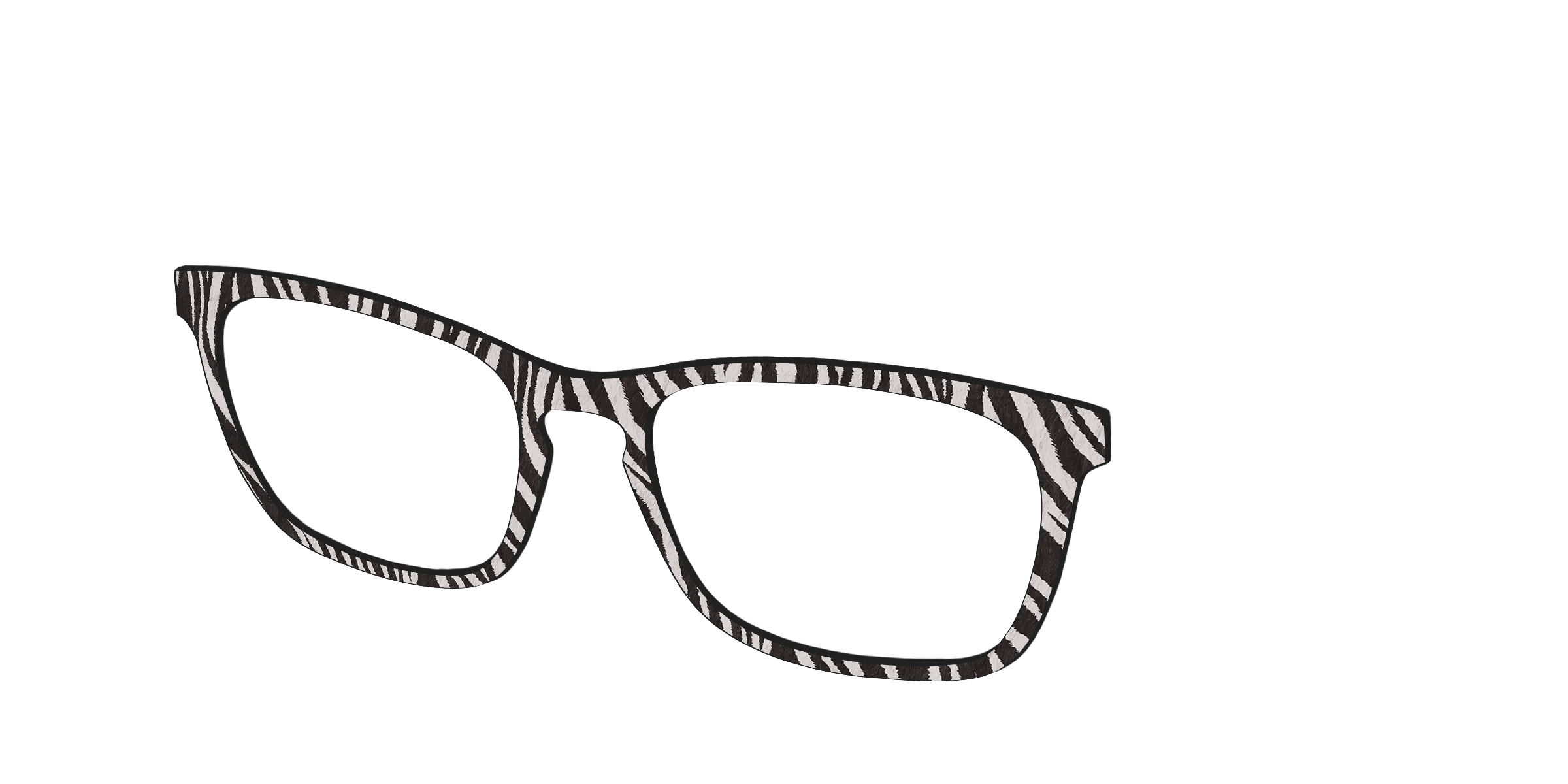 The Zebra Stripes - Image 14
