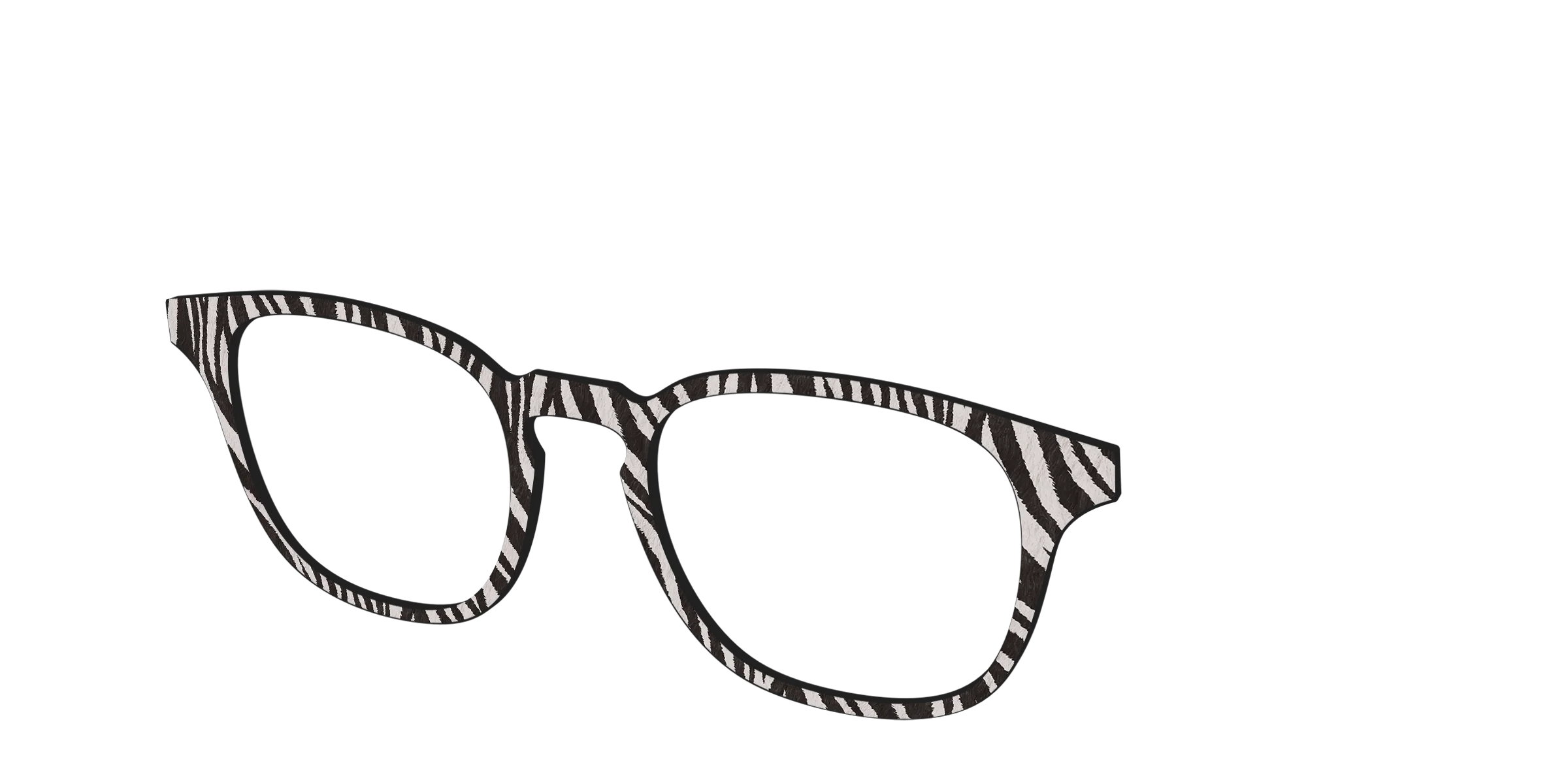The Zebra Stripes - Image 18