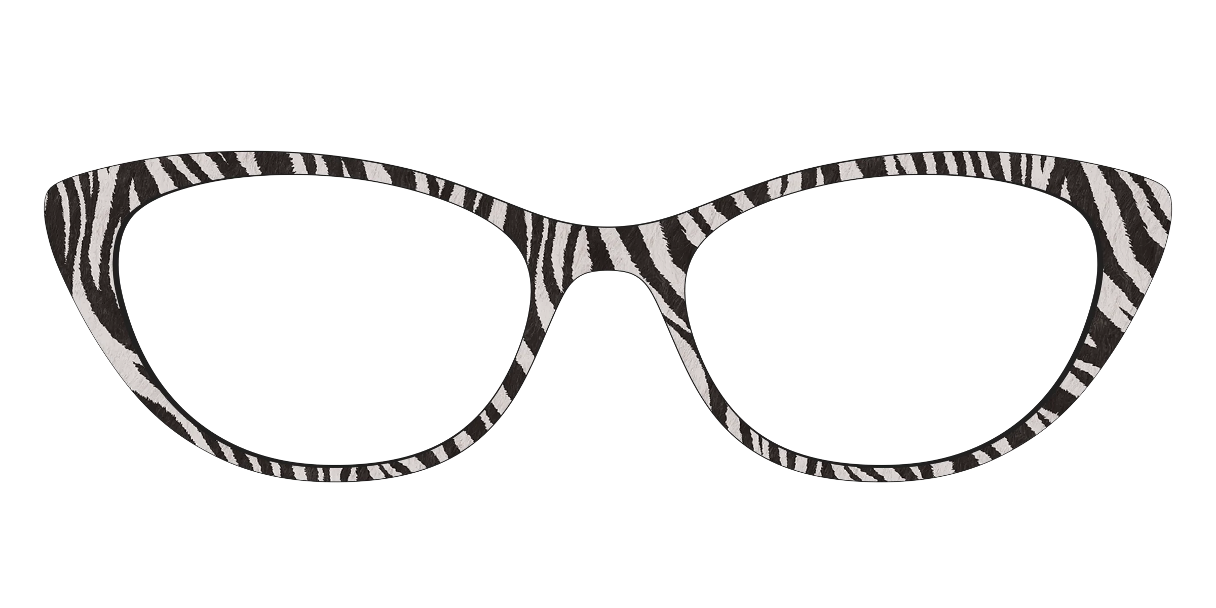 The Zebra Stripes - Image 23