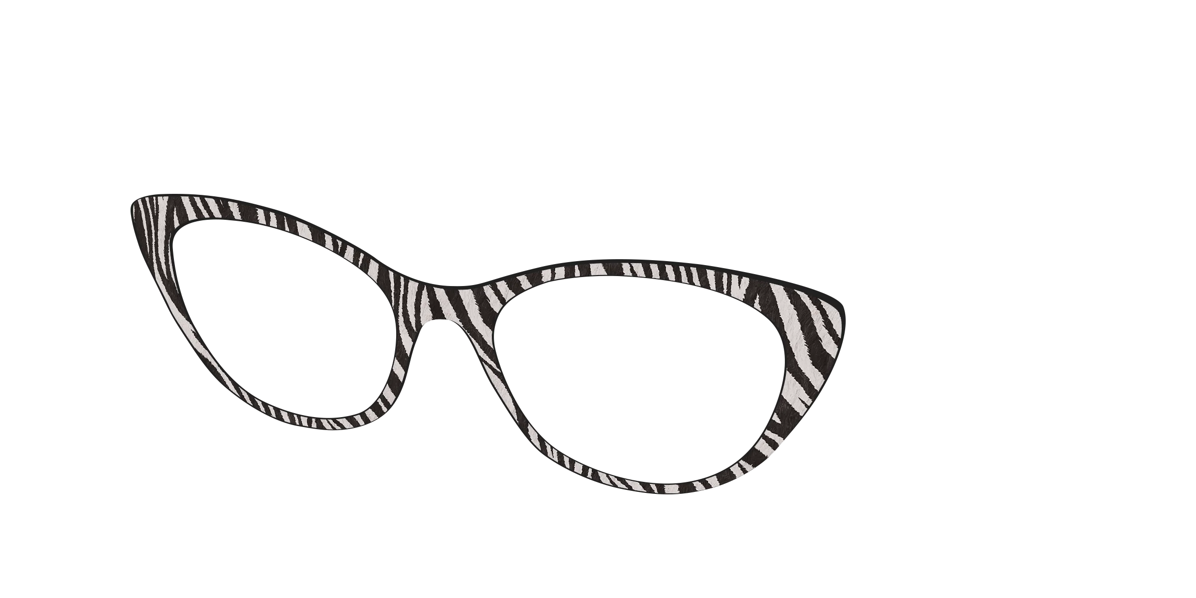 The Zebra Stripes - Image 24