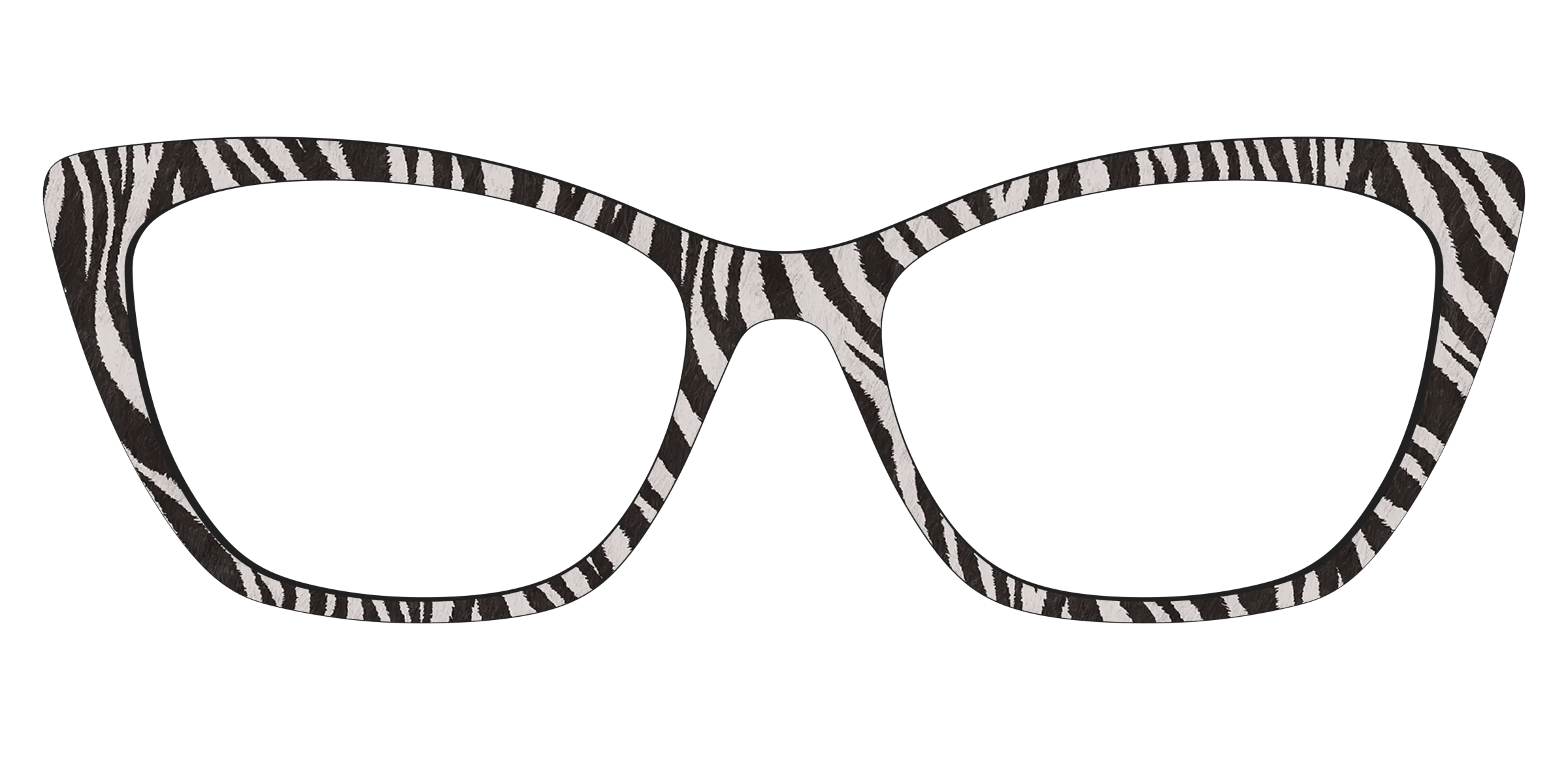 The Zebra Stripes - Image 25
