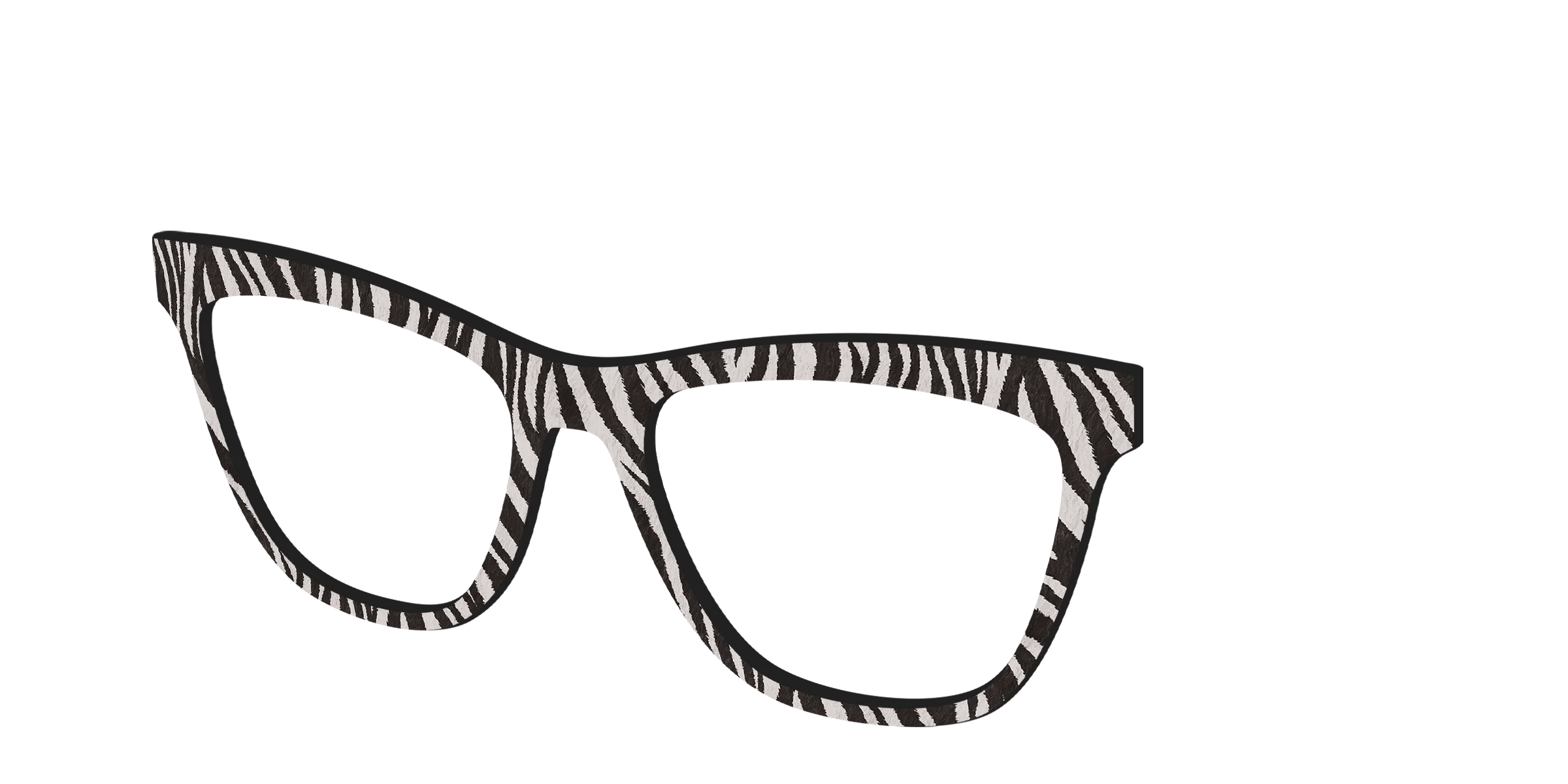 The Zebra Stripes - Image 30