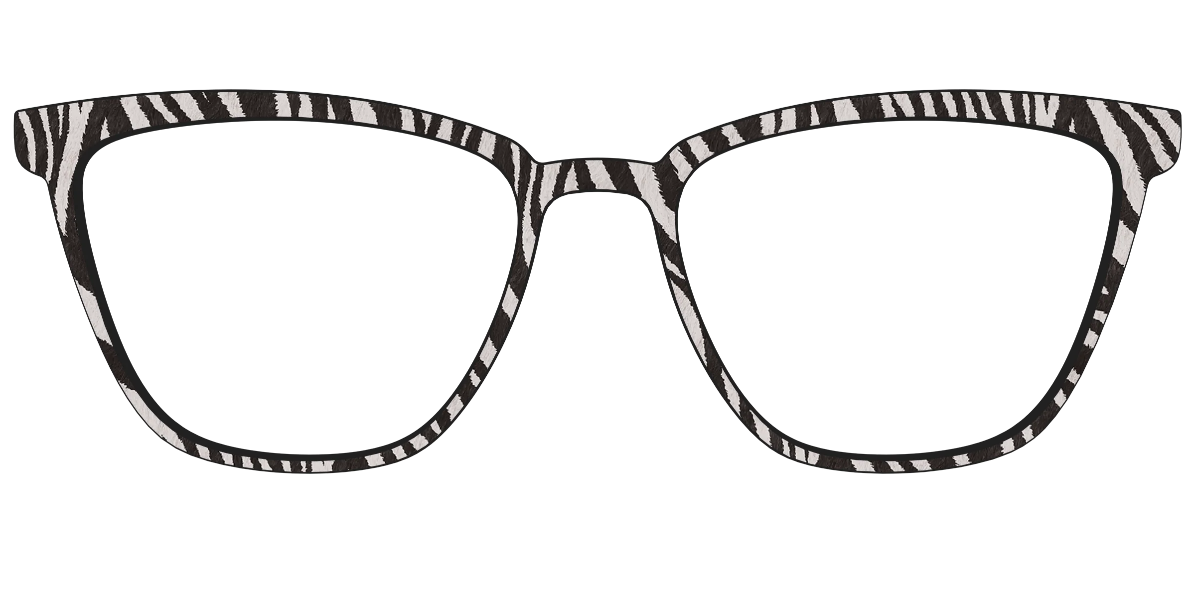 The Zebra Stripes - Image 57