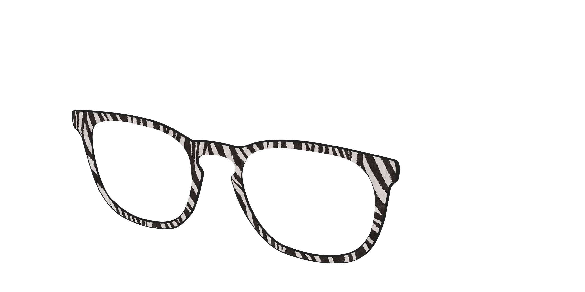 The Zebra Stripes - Image 8